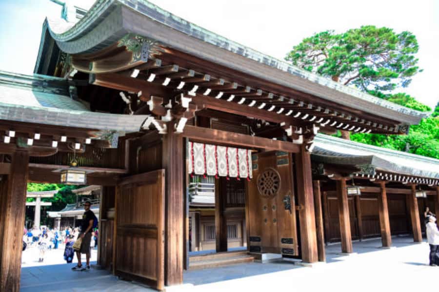 Tokyo: Meiji Shrine Walking Tour with Local Guide - Learning the Meaning of the Torii and the Approach