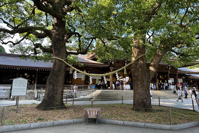 Tokyo Morning Tour: Asakusa, Meiji Shrine and Tsukiji Fish Market - Who should book this morning tour