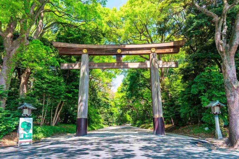 Tokyo Morning Tour: Meiji Shrine, Asakusa & Fish Market - Key points at a glance
