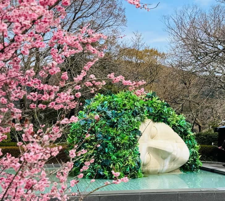 Tokyo: Mt. Fuji, Owakudani, Hakone Shrine, & Open-Air Museum - Key points to know before booking