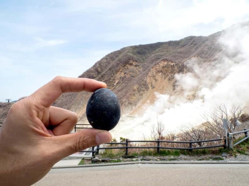 Tokyo: Mt. Fuji, Owakudani, Hakone Shrine, & Open-Air Museum - Seeing volcanic activity at Owakudani