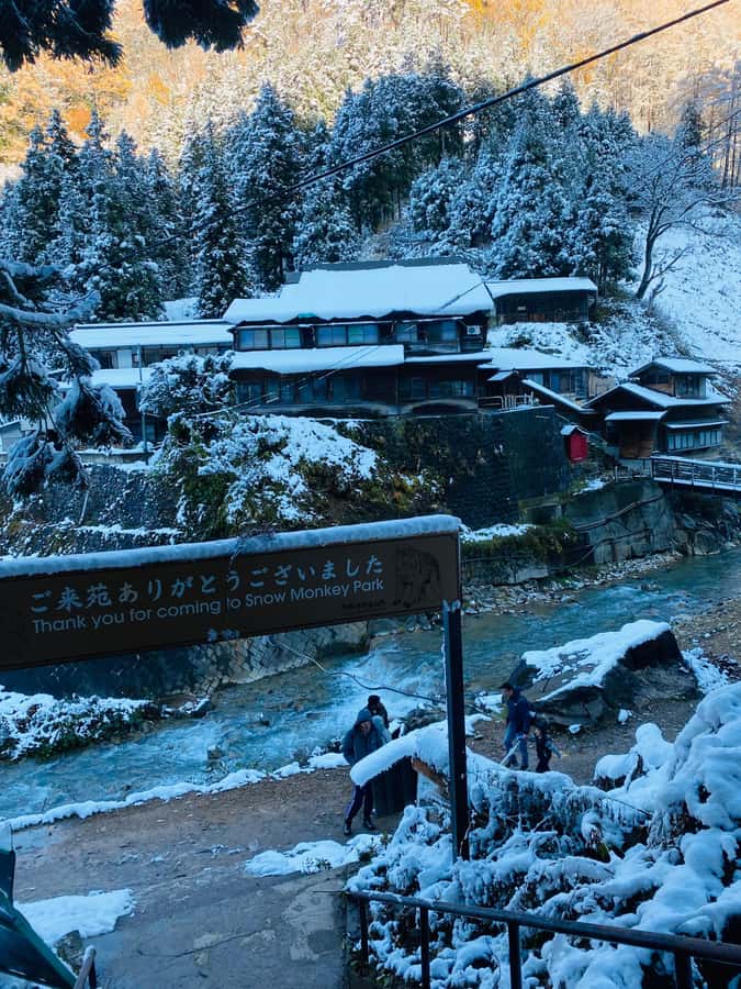 Tokyo/Nagano: private Tour with Snow Monkey Park & Temples - What makes this Nagano day trip worth considering