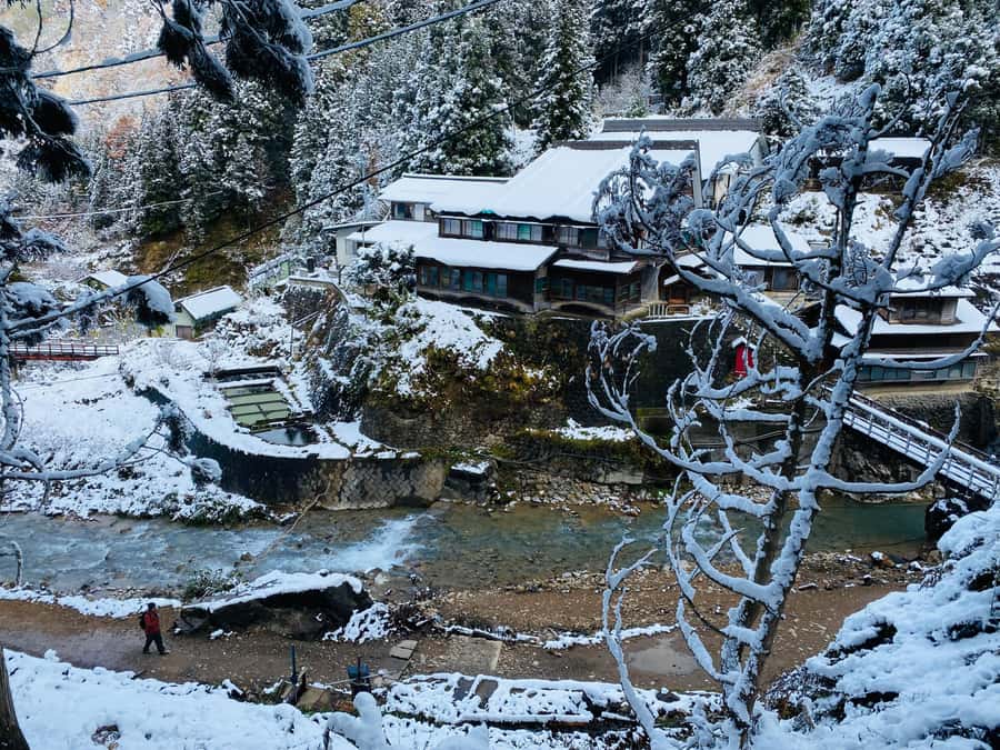 Tokyo/Nagano: private Tour with Snow Monkey Park & Temples - A long road from Tokyo, made easier by a private car