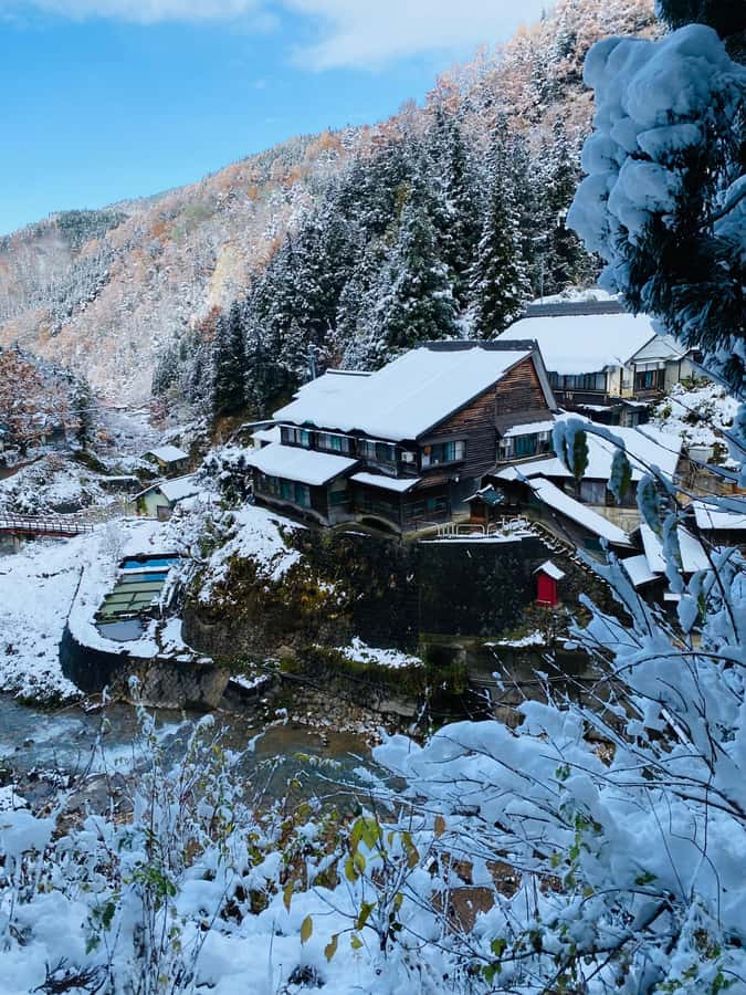 Tokyo/Nagano: private Tour with Snow Monkey Park & Temples - Zenkoji Temple gives the day a spiritual center
