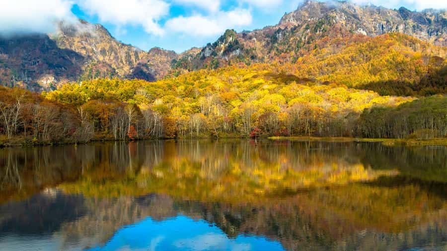 Tokyo/Nagano: private Tour with Snow Monkey Park & Temples - Flexible sightseeing, with some limits