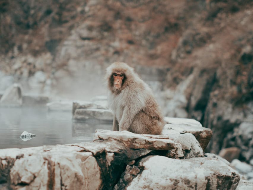 Tokyo: Nagano, Snow Monkeys and Zenko-ji Temple Private Tour - Obuse brings old-town atmosphere and local flavor