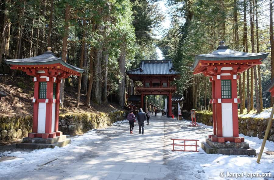 Tokyo: Nikko Day Tour Shrines, Lake Chūzenji & Kegon Falls - What the driver adds to the day