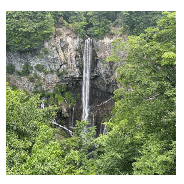 Tokyo: Nikko Kegon Falls Lake Chuzenji Toshogu Temple & More - Shinkyo Bridge and the gateway to the shrines