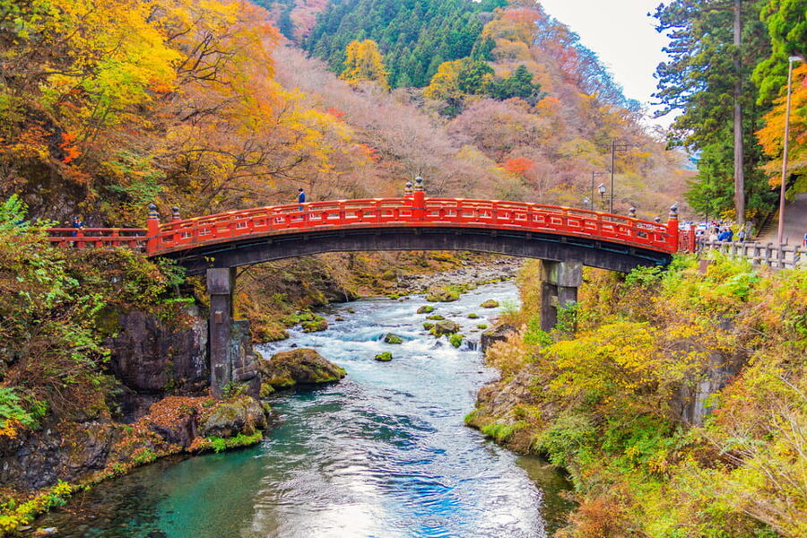 Tokyo Nikko Toshogu Shrine Iroha-zaka Lake Chuzenji Day Tour - What the coach ride means for your day