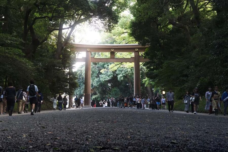 Tokyo: Private Meiji Shrine & Harajuku Highlights Tour - What the private guide adds