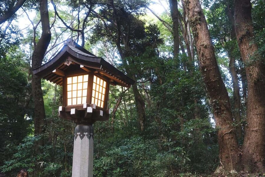 Tokyo: Private Meiji Shrine & Harajuku Highlights Tour - My booking advice