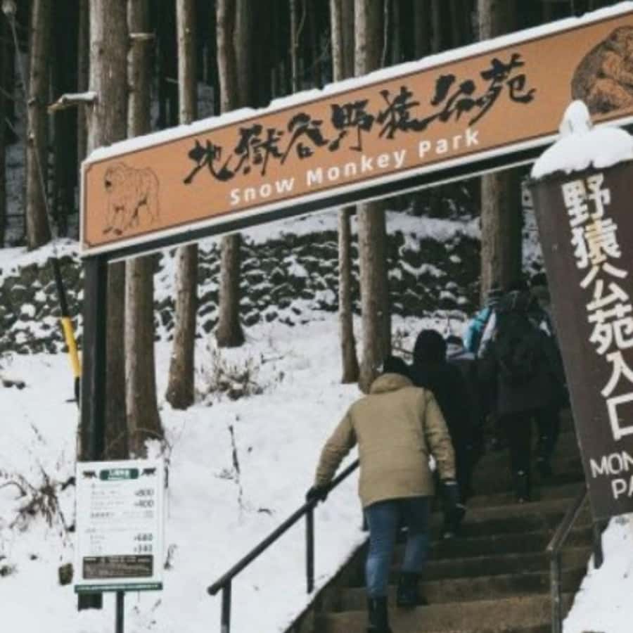 Tokyo: Snow Monkey Park and Zenkoji Temple Private Day Tour - Extra stops are possible, but do not count on all of them