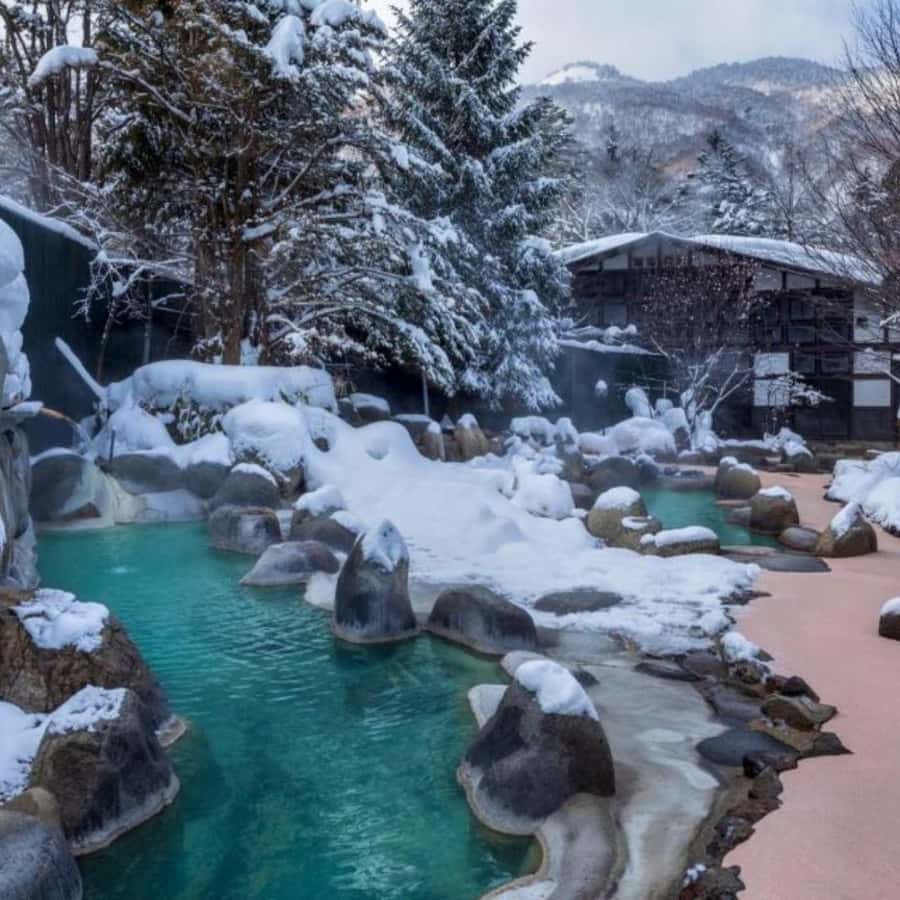 Tokyo: Snow Monkey Park and Zenkoji Temple Private Day Tour - What the private price really buys you
