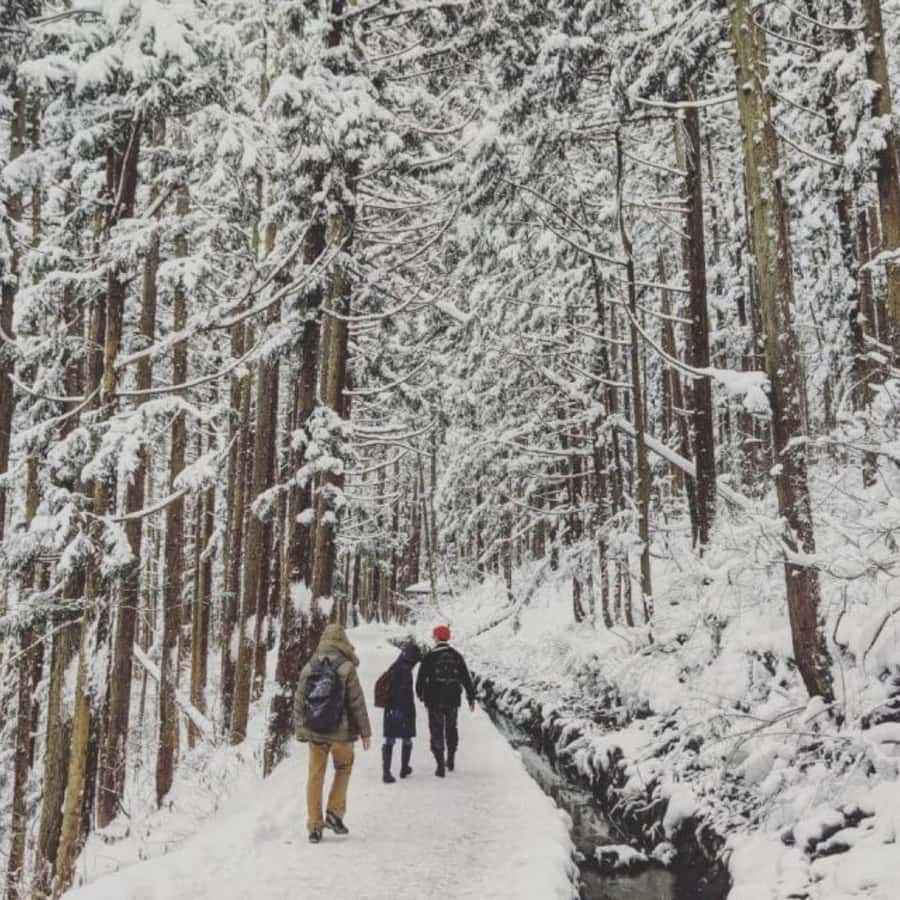 Tokyo: Snow Monkey Park and Zenkoji Temple Private Day Tour - Zenkoji Temple brings a quieter second act