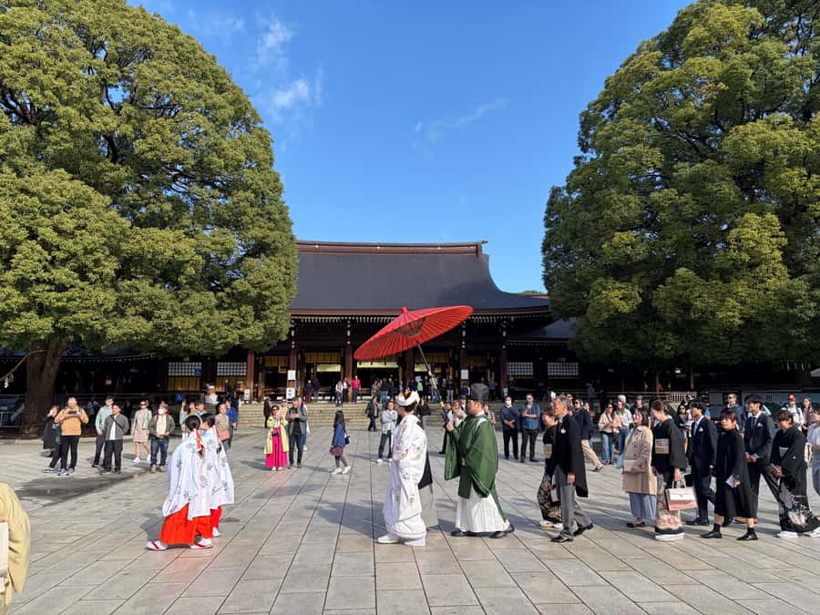 Tokyo: Visit 5 Shrines & Collect Goshuin on Private Tour - Five useful things to know before booking