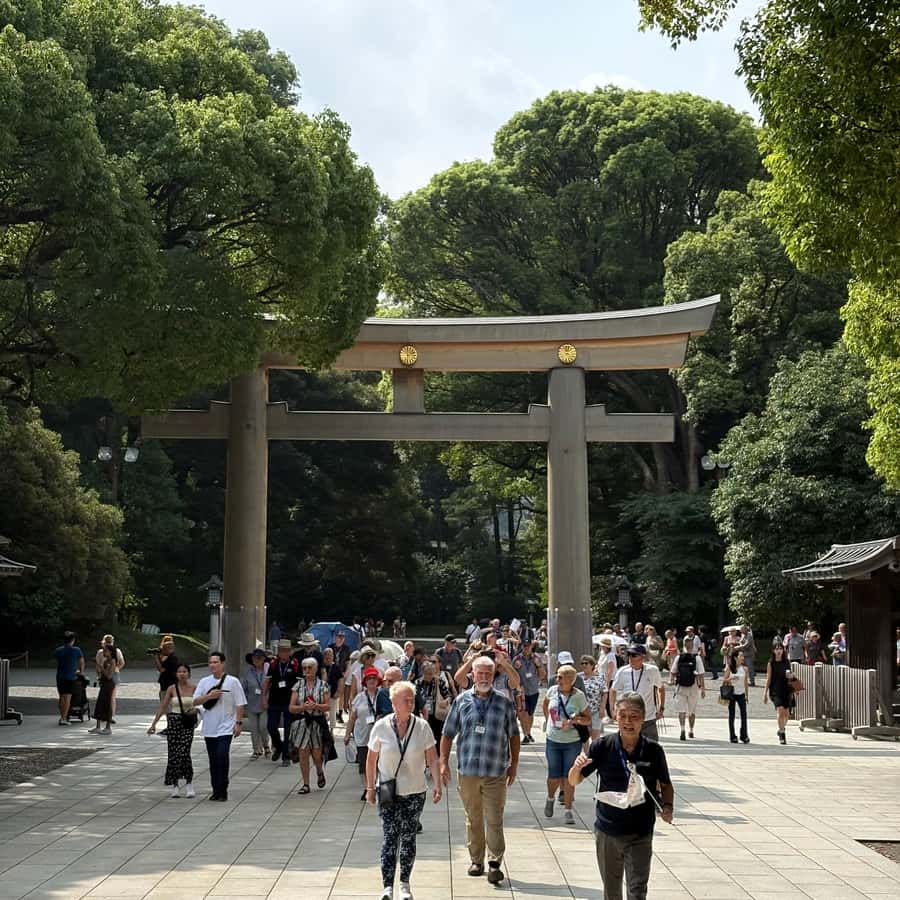 Tokyo: Visit 5 Shrines & Collect Goshuin on Private Tour - Why this tour works for a spiritual day in Tokyo