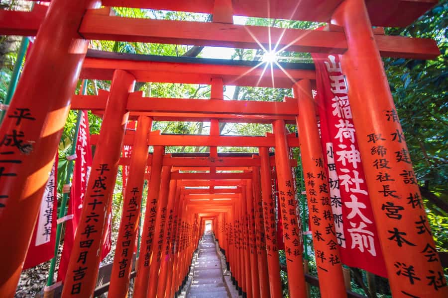 Tokyo: Visit 5 Shrines & Collect Goshuin on Private Tour - Remembering at Yasukuni Shrine