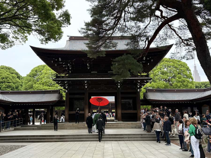 Tokyo: Visit 5 Shrines & Collect Goshuin on Private Tour - A quick look at Harajuku