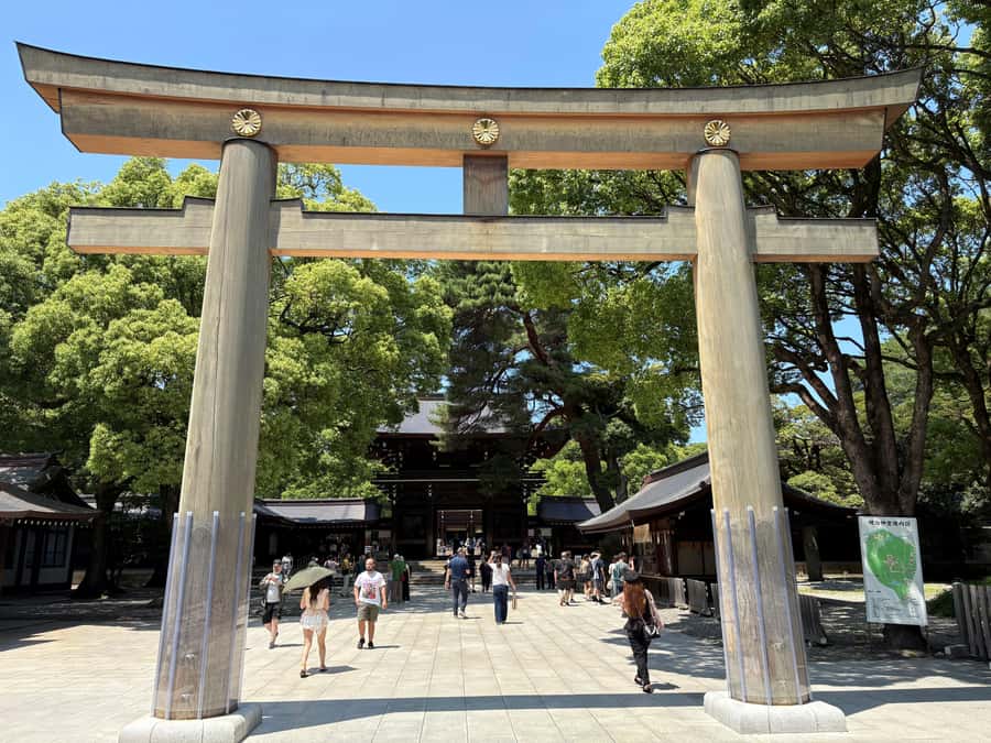 Tokyo: Visit 5 Shrines & Collect Goshuin on Private Tour - Walking through the forest at Meiji Shrine