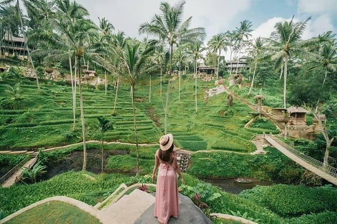 Ubud Hidden Gems Waterfall, Temple and Rice Terraces Private Tour - Why the private vehicle changes the day
