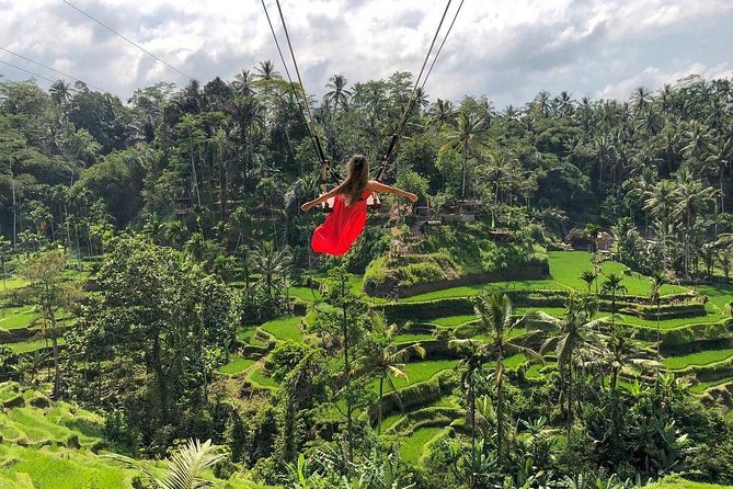 Ubud: Monkey Forest, Jungle Swing, Rice Terrace, and Water Temple - Monkey Forest: shaded paths and lively animals