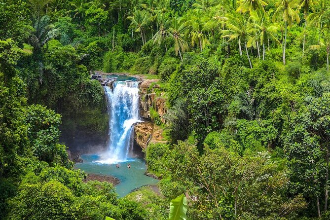 Ubud: Monkey Forest, Jungle Swing, Rice Terrace, and Water Temple - Tegalalang Rice Terrace: beautiful views, real walking