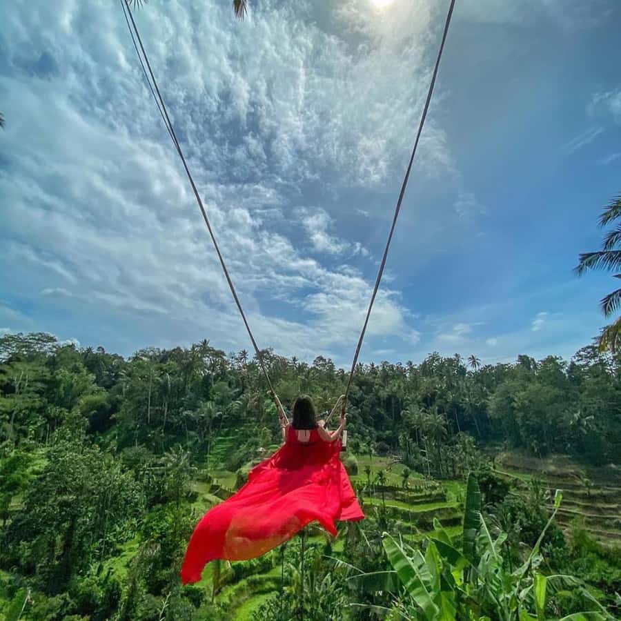 Ubud Monkey Forest, Temple, Rice Terrace and Waterfall Tour - Key points at a glance