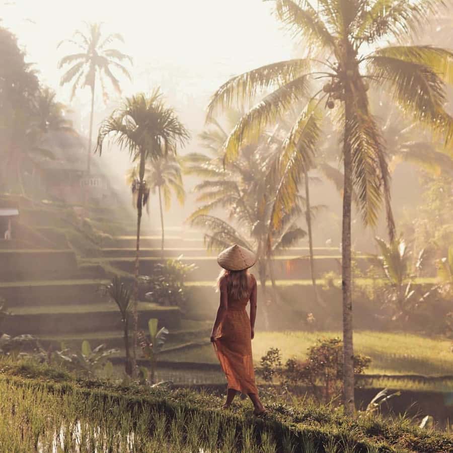 Ubud Monkey Forest, Temple, Rice Terrace and Waterfall Tour - Why this Ubud day tour works