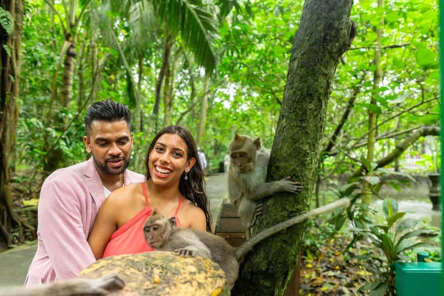 Ubud Monkey Forest, Temple, Rice Terrace and Waterfall Tour - What the driver service adds