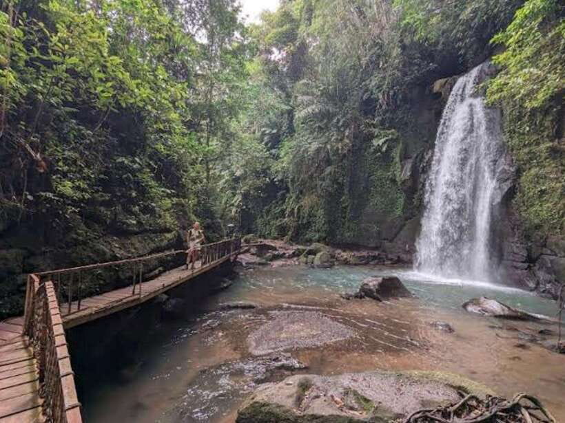 Ubud: Monkey Forest, Temple, Rice Terraces, Hidden Waterfall - Tegalalang Rice Terraces: see how the fields work