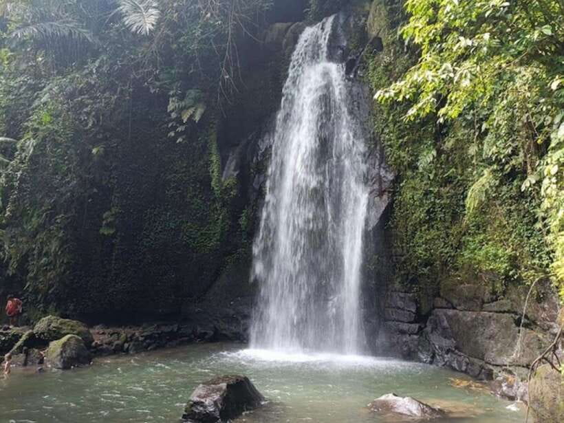 Ubud: Monkey Forest, Temple, Rice Terraces, Hidden Waterfall - Ulu Petanu Waterfall: the best chance to get wet