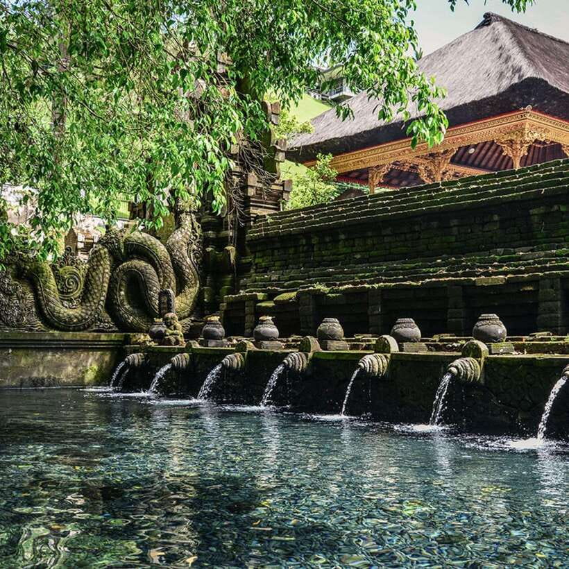 Ubud: Monkey Forest, Temple, Rice Terraces, Hidden Waterfall - Tirta Empul: approach the temple with respect