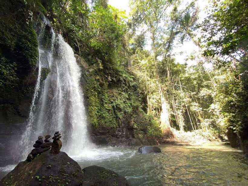 Ubud: Monkey Forest, Temple, Rice Terraces, Hidden Waterfall - How the $29 price works in real life