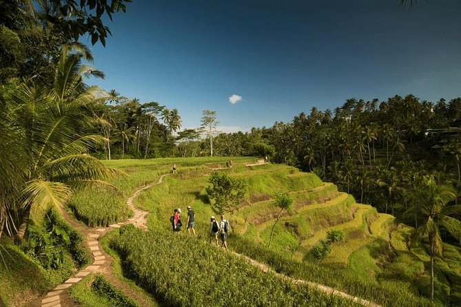 Ubud Rafting - Rice Terrace - Tegenungan Waterfall - Tanah Lot Sunset Temple - A busy Bali day that gets the big sights in order