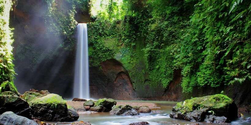 Ubud: Rice Terrace, Holy Water Temple & Waterfalls Trek Tour - Add-ons that are worth considering