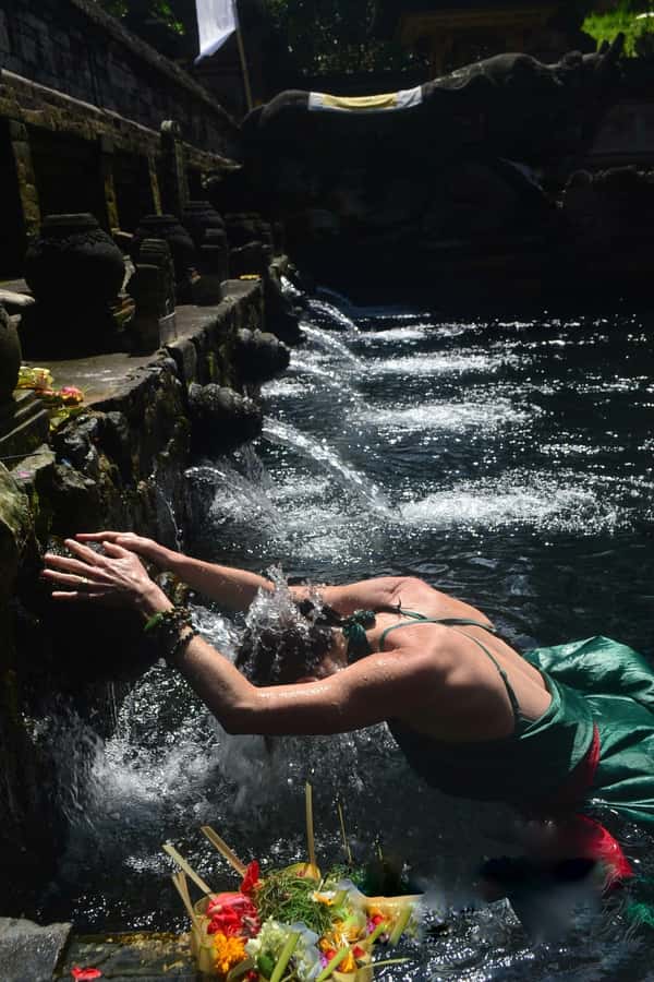 Ubud: Rice Terraces, Water Temple, & Waterfalls Private Tour - Who should book this Ubud day?