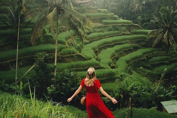 Ubud: Swing - Monkey Forest - Waterfall - Temple - Rice Terraces - Art Crafts - Leaving Kuta for the Ubud area