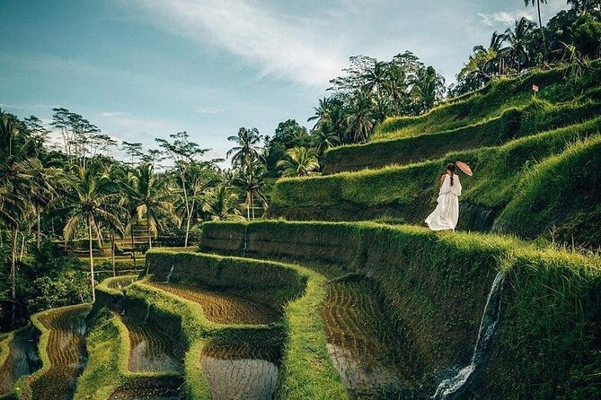 Ubud: Swing - Monkey Forest - Waterfall - Temple - Rice Terraces - Art Crafts - Tegalalang Rice Terrace and Bali’s working countryside
