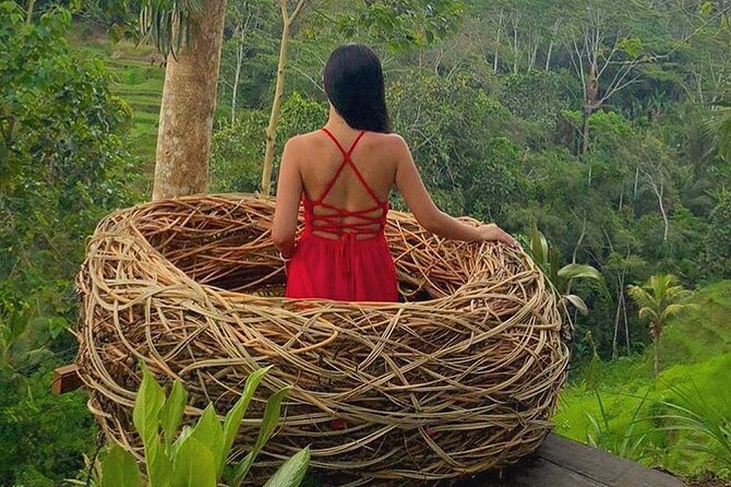 Ubud: Swing - Monkey Forest - Waterfall - Temple - Rice Terraces - Art Crafts - Sacred Monkey Forest Sanctuary in Ubud