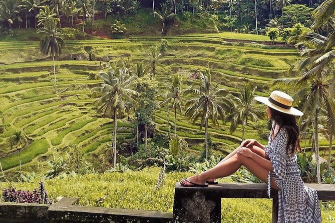 Ubud: Swing - Monkey Forest - Waterfall - Temple - Rice Terraces - Art Crafts - How the private guide changes the day