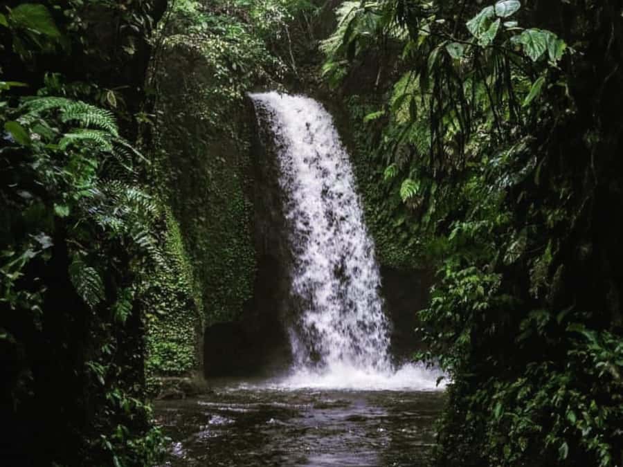 Ubud: Tirta Empul Water Purification Ritual, Private Tour - Why Tirta Empul gives this half-day tour its purpose