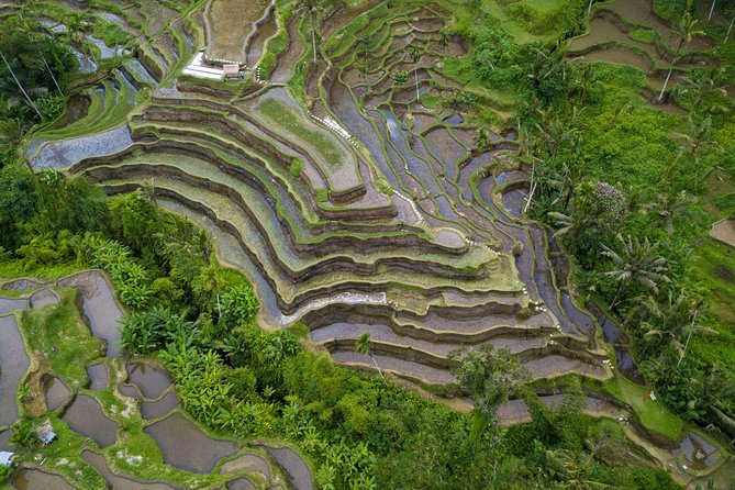 Ubud Top Attractions: Waterfalls, Temples and Rice Terraces - Gunung Kawi Sebatu Temple and its clear ponds