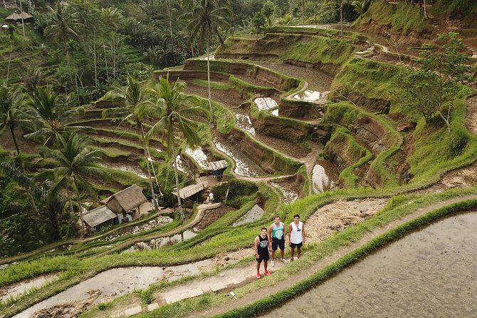 Ubud Top Attractions: Waterfalls, Temples and Rice Terraces - Lunch at D’Alas Warung with a jungle view
