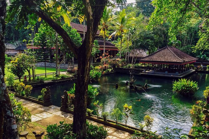 Ubud Top Attractions: Waterfalls, Temples and Rice Terraces - What the private driver changes