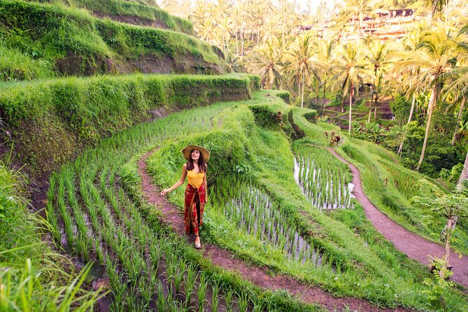 Ubud Tour with Swing, Temple, Monkey Forest, and Waterfall - Tegalalang Rice Terrace begins the day