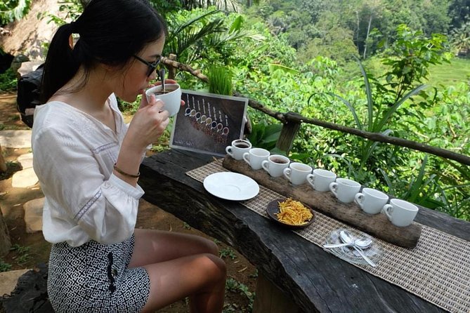 Ubud Tour with Swing, Temple, Monkey Forest, and Waterfall - Happy Swing Bali is the day’s biggest photo stop