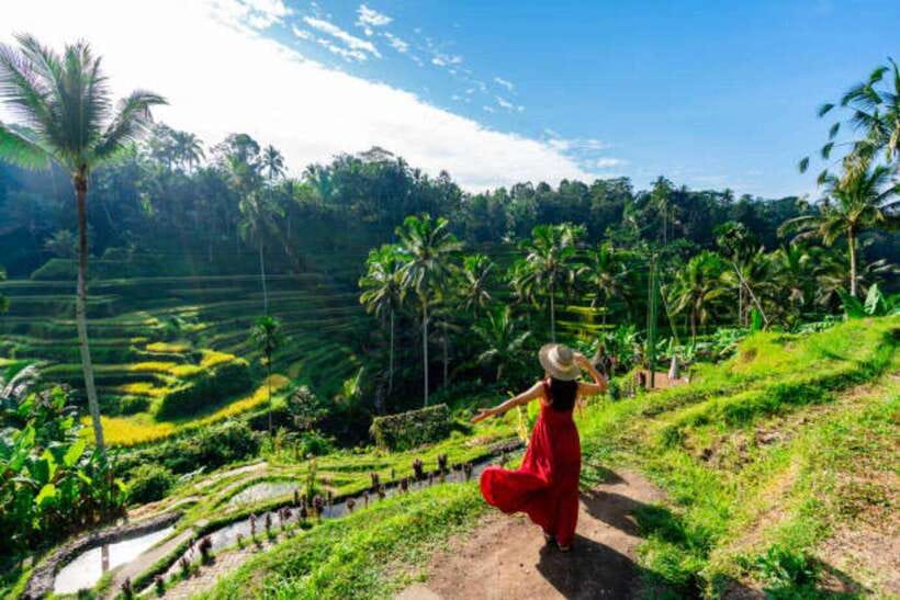 Ubud: Water Temple, Rice Terrace, and Waterfalls Tour - One long day, four sides of Ubud
