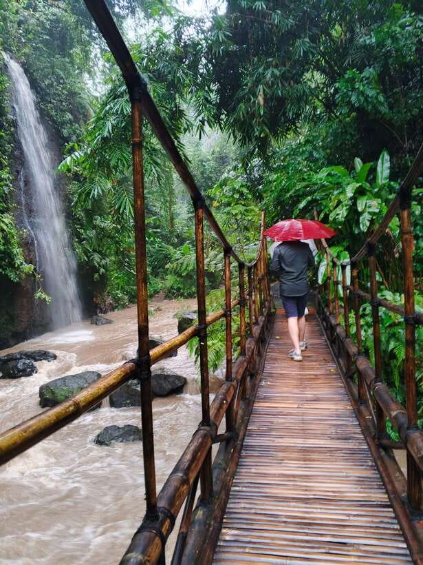 Ubud: Water Temple, Rice Terrace, and Waterfalls Tour - Why the private car is worth the price