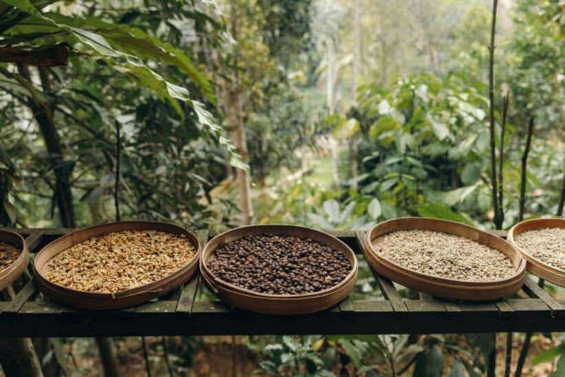 Ubud: Water Temple, Rice Terrace, and Waterfalls Tour - Ketut and the value of a good driver