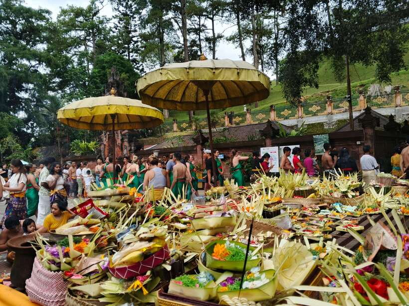 Ubud: Water Temple, Rice Terrace, and Waterfalls Tour - Who will enjoy this Ubud tour most